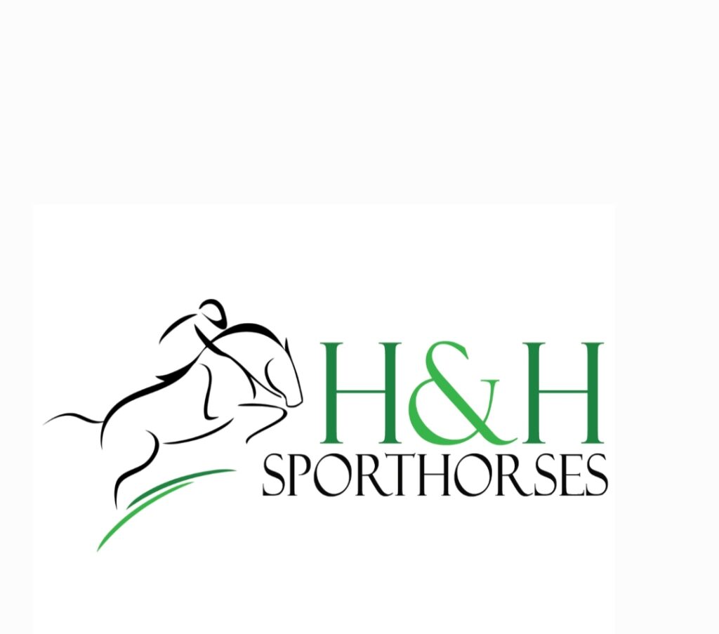 H & H Sporthorses 2024