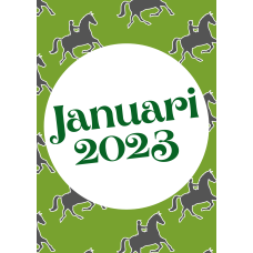 Baan Verkennen Kampioenschap Dressuur 20 januari 2023